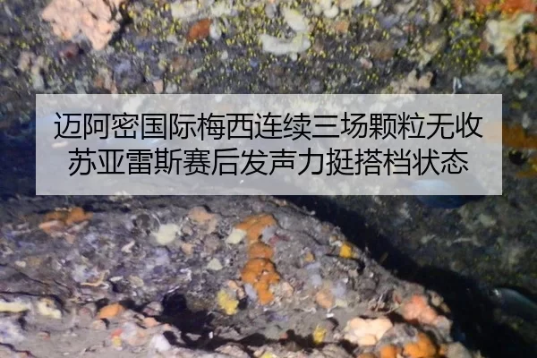 迈阿密国际梅西连续三场颗粒无收 苏亚雷斯赛后发声力挺搭档状态